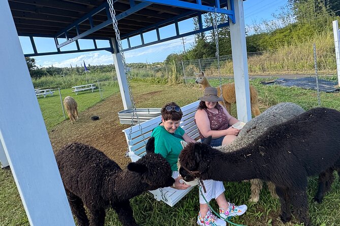 Alpaca Farm Experience on the Road to Hana - Weather and cancellation rules
