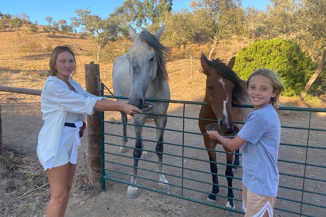 Alpaca Farm MamaAdama Meet & Feed - Hand-feeding, photos, and animal personalities