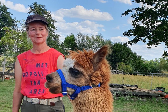 Alpaca hike in the Barnimer Feldmark - What makes the Barnimer Feldmark setting worthwhile
