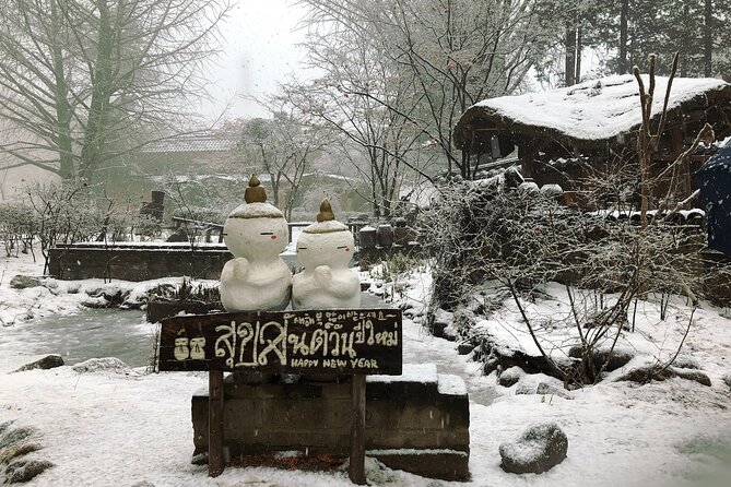 Alpaca, Nami, Eobi with Rail Bike or Strawberry - Nami Island: wooded paths and Winter Sonata scenery