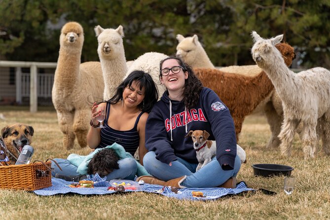 Alpaca Picnic Experience in Oregon - Key points to know before you book