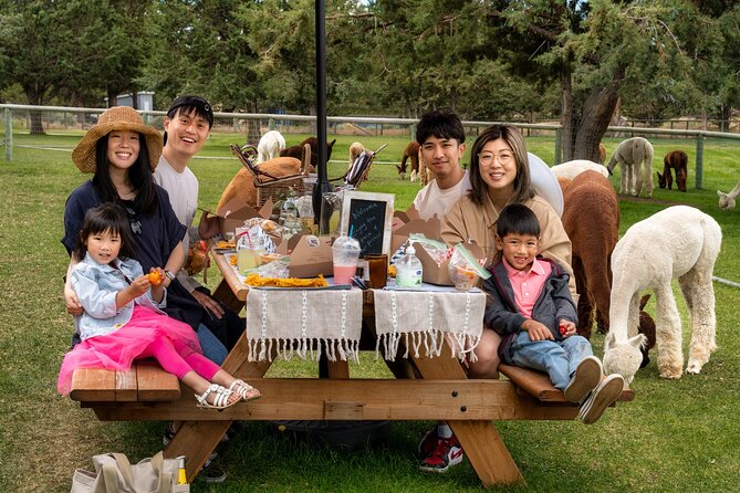 Alpaca Picnic Experience in Oregon - Why an alpaca picnic works so well near Bend
