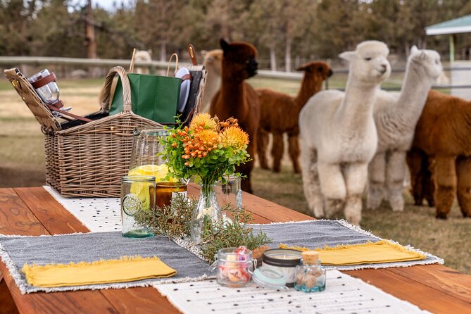 Alpaca Picnic Experience in Oregon - The picnic menu and special diets