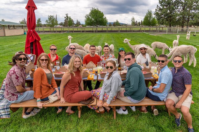 Alpaca Picnic Experience in Oregon - Who will enjoy this private pasture outing