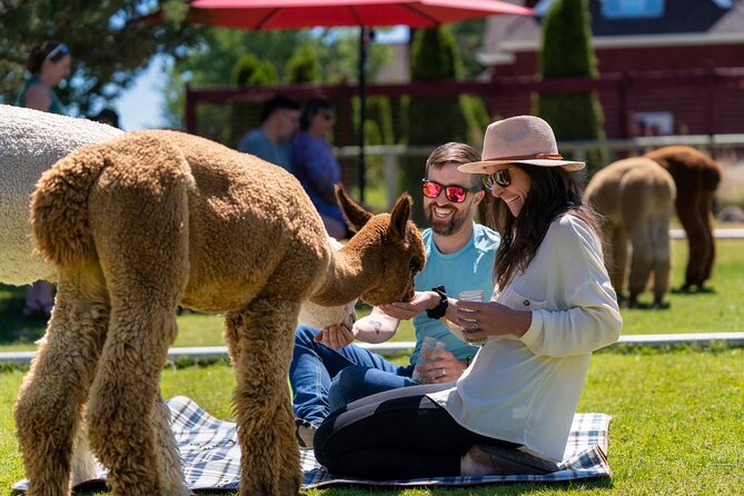 Alpaca Picnic Experience in Oregon - Meeting at Tumalo Coffeehouse and settling in
