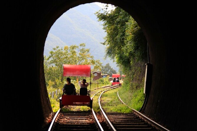 Alpaca World and Nami Island with Gangchon Rail Bike Tour - Guides can shape the entire day