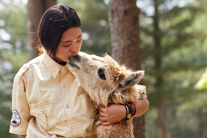 Alpaca World & Nami Island & Garden of Morning Calm One Day Tour - Alpaca World: the day’s most hands-on stop