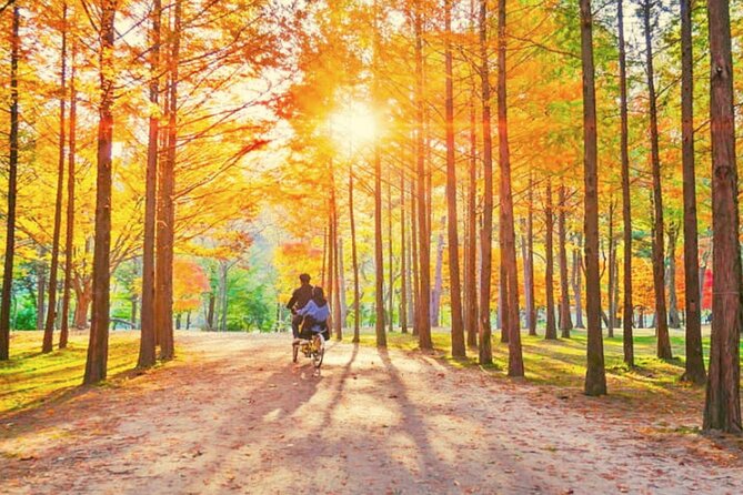 Alpaca World & Nami Island & Garden of Morning Calm One Day Tour - Why the guide can make or break this long day