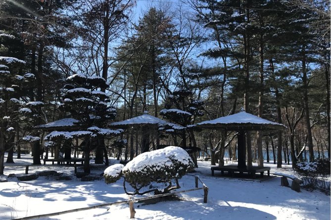 Alpaca World & Nami Island & Garden of Morning Calm One Day Tour - Should you book the Alpaca World, Nami Island, and Garden of Morning Calm tour?
