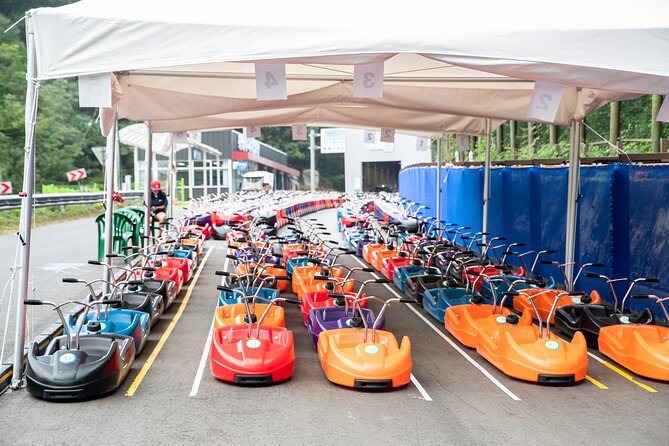 Alpaca World, Railbike and Vivaldi Park Experiences from Seoul - Choosing your pace at Vivaldi Park