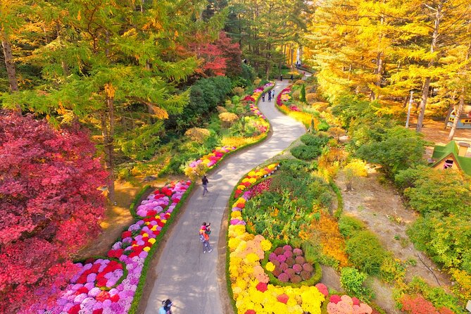 Alpaca World Tour with Nami Island (optional Railbike or Garden) - Garden of Morning Calm in daylight or winter light