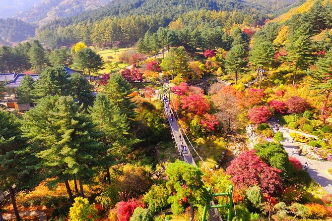 Alpaca World Tour with Nami Island (optional Railbike or Garden) - The Stay Healing Park and the Starlight Festival
