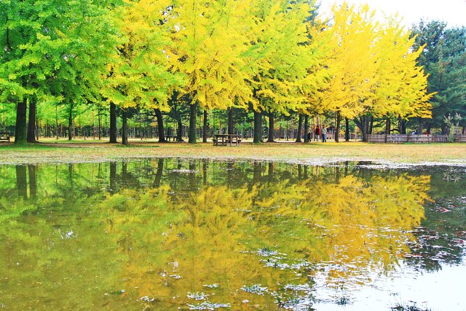 Alpaca World Tour with Nami Island (optional Railbike or Garden) - The bus ride, group size, and guide style