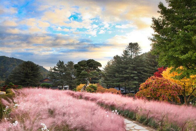 Alpaca World Tour with Nami Island (optional Railbike or Garden) - What the $66.67 price includes