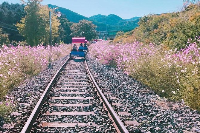 Alpaca World with Gangchon Rail Park One Day Tour - Timing, meeting point, and group size