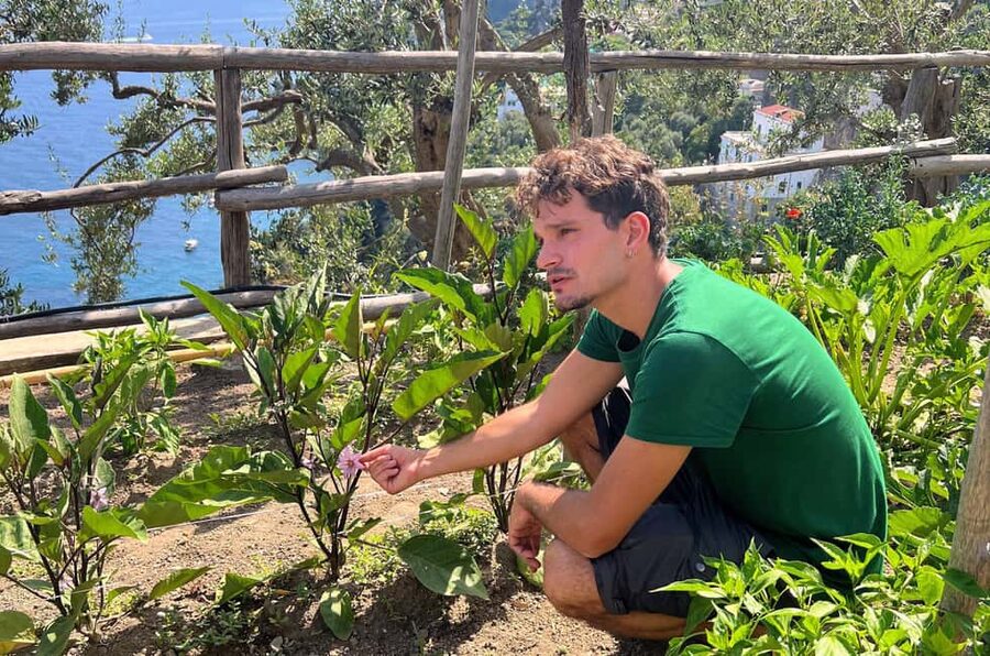 Amalfi Coast: Pizza & Mozzarella Class with Farmhouse visit - Is $65 a fair price?