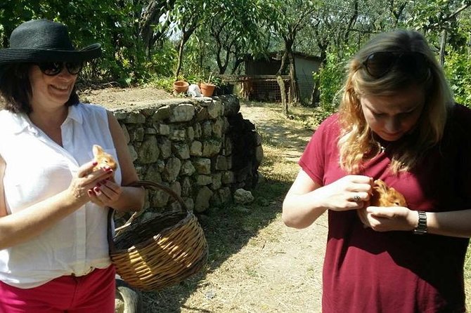 Amalfi Coast & Sorrento Cooking Class School at Farmhouse - Learning the food of Campania
