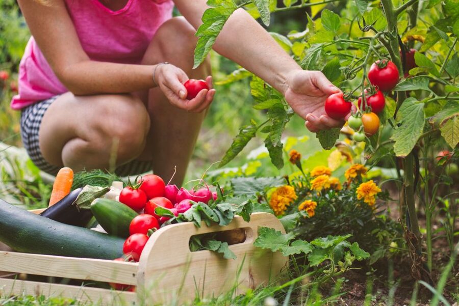Amalfi: Cooking Class and Farmhouse Visit With Meal - Who Will Enjoy This Most