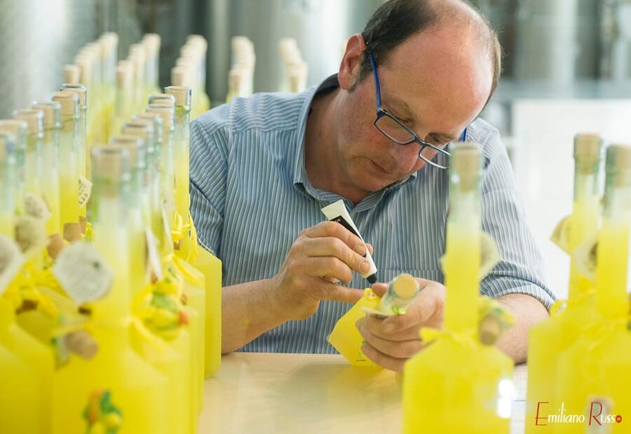 Amalfi: Vertical Lemon Farm Tour, Tastings, and Rural Museum - Why Amalfi’s vertical lemon farms matter