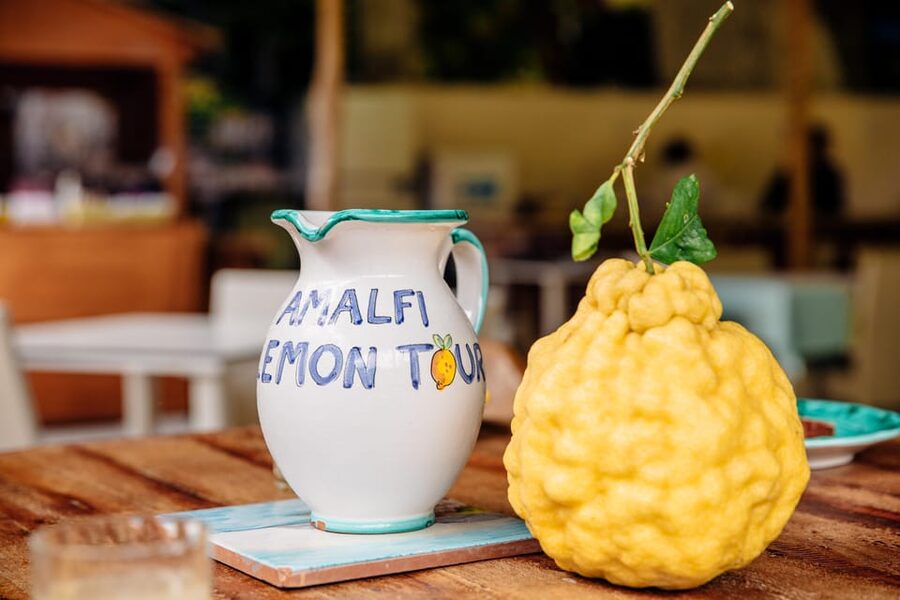 Amalfi: Vertical Lemon Farm Tour, Tastings, and Rural Museum - Who should book this experience