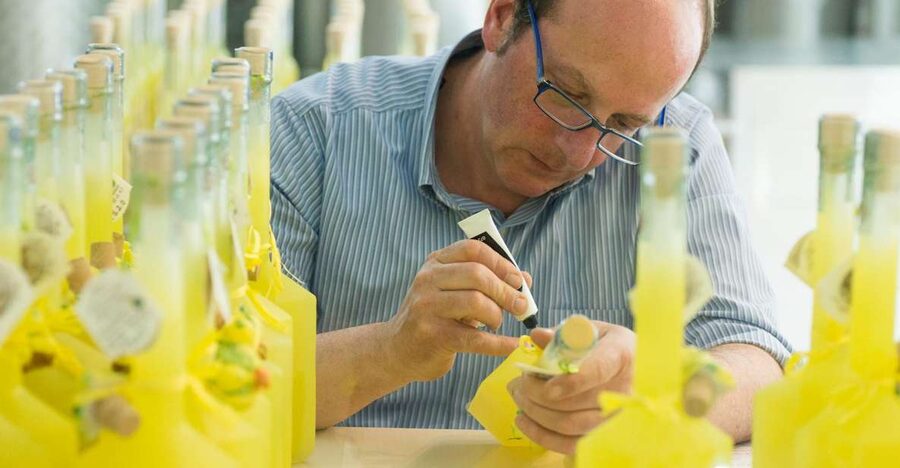 Amalfi: Vertical Lemon Farm Tour, Tastings, and Rural Museum - Starting at Via delle Cartiere 59