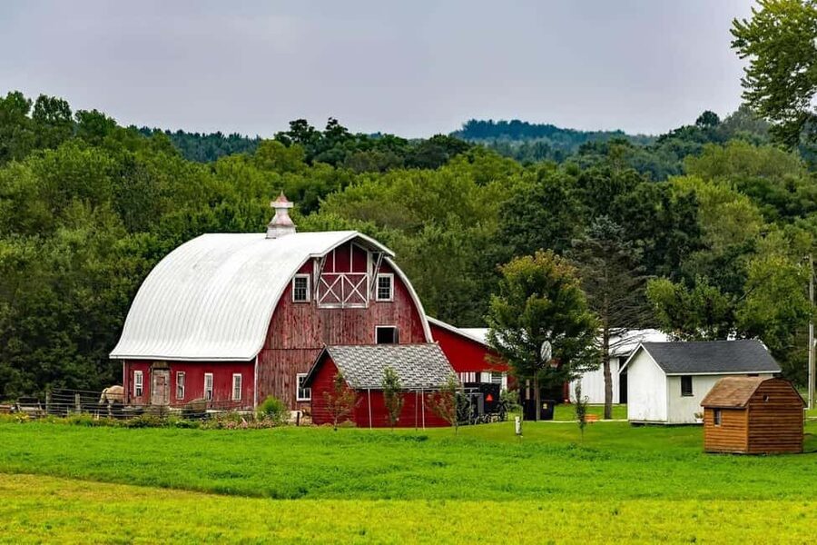 Amish Farm and Village Experience from Washington D.C. - From Washington DC to Amish country