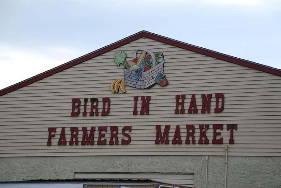 Amish Farm and Village Experience from Washington D.C. - How this compares with exploring Lancaster on your own