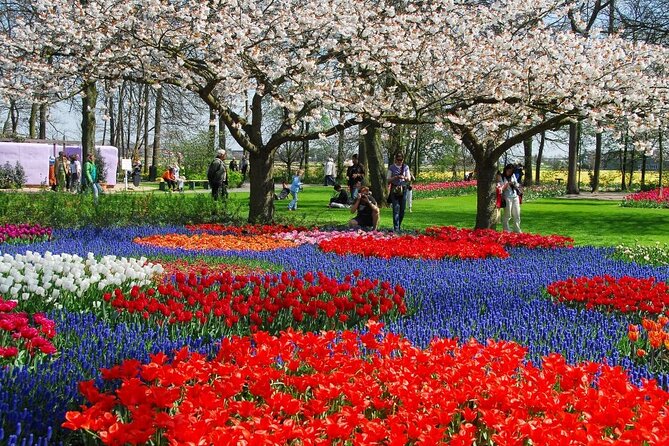 Amsterdam: Day trip to Tulip Farm, Keukenhof + Windmill Cruise - Transport, group size, and the return to Amsterdam