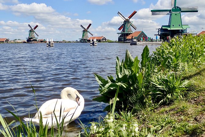 Amsterdam private tour to windmills, cheese farm and villages - Why this private countryside day works