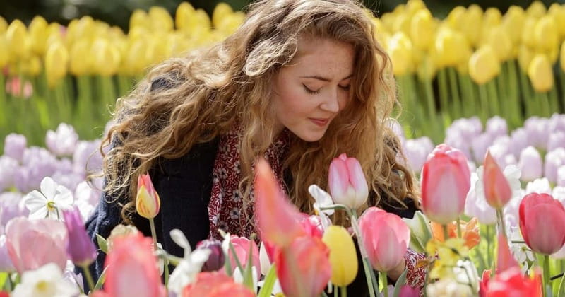 Amsterdam: Tulip Farm Visit, Keukenhof, and Windmill Cruise - Why the farm visit is more than a photo stop
