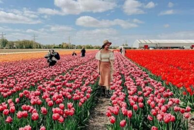 Tulip Farm Visit, Keukenhof, and Windmill Cruise