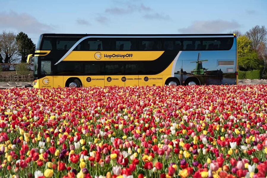 Amsterdam: Tulip Farm Visit, Keukenhof, and Windmill Cruise - Comfortable coaches and a well-managed meeting point