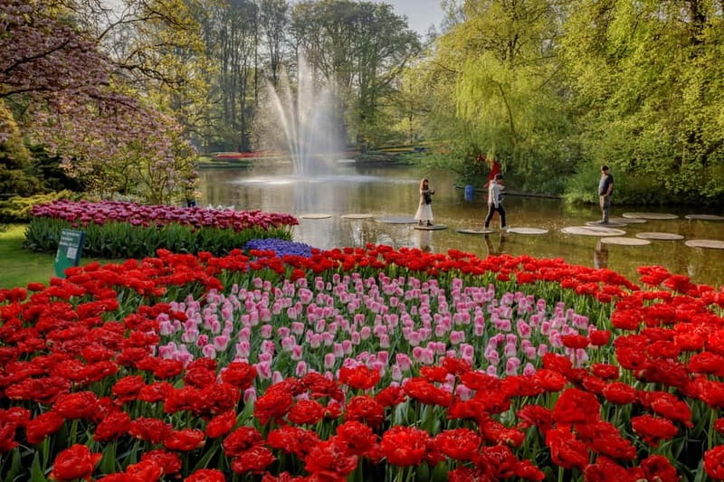 Amsterdam: Tulip Farm Visit, Keukenhof, and Windmill Cruise - The return system is one of the tour’s best features