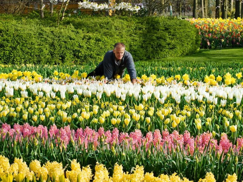 Amsterdam: Tulip Farm Visit, Keukenhof, and Windmill Cruise - Practical ways to make the day better