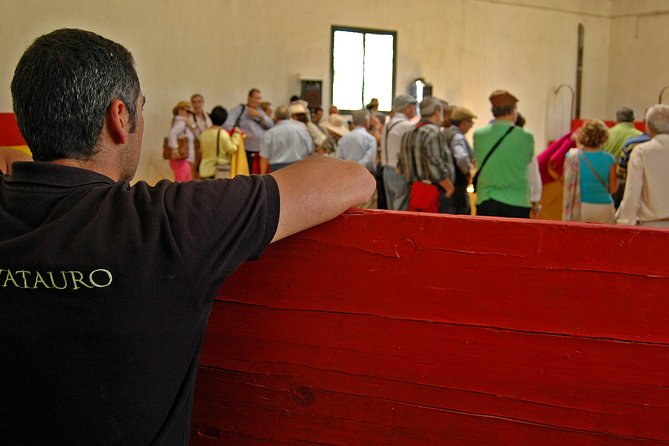 Andalucia Bull and Horse Farm and Ronda Private Tour from Malaga - Wine and tapas in a farm setting