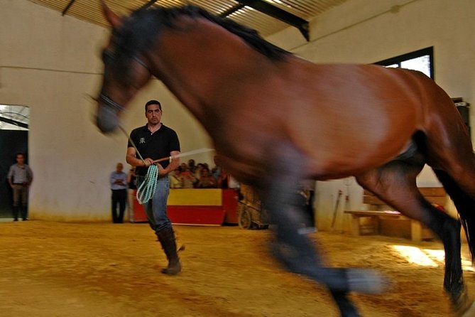 Andalucia Bull and Horse Farm and Ronda Private Tour from Malaga - Should you book the Malaga to Ronda farm tour?
