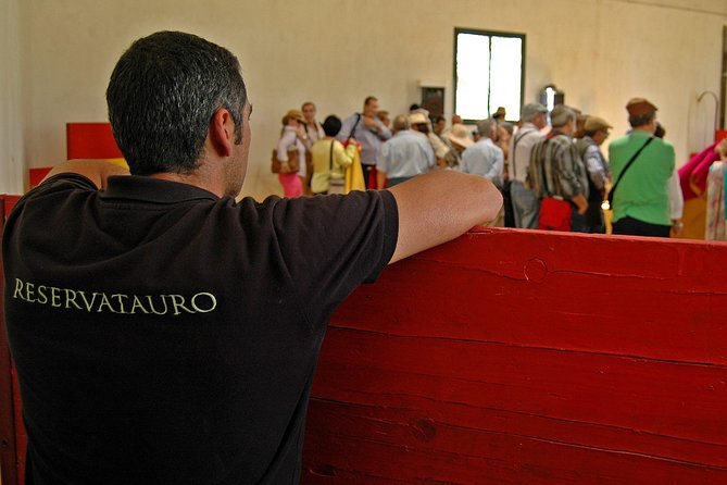 Andalucia Bull and Horse Farm and Ronda Private Tour from Malaga - Ronda’s bull ring in a 30-minute stop