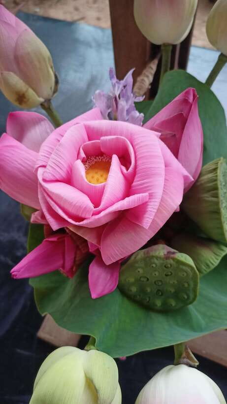 Angkor Silk Farm & Lotus Silk Farm: Siem Reap Discovery Tour - Angkor Silk Farm: from mulberry leaves to finished cloth