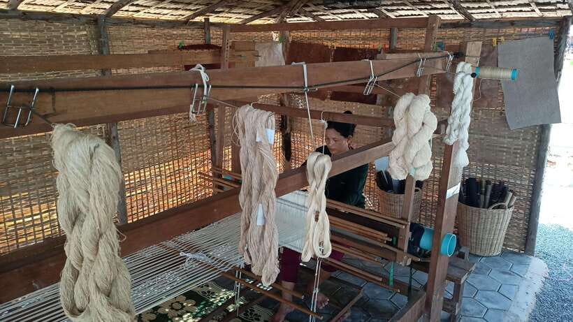 Angkor Silk Farm & Lotus Silk Farm: Siem Reap Discovery Tour - Starting at Biolab Café in downtown Siem Reap