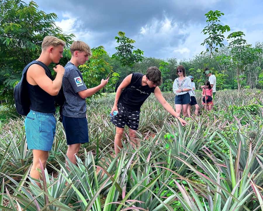 Ao Nang: Crystal Pool Kayaking, ATV, and Pineapple Farm Tour - Is $79 a fair price?