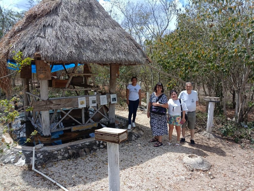 Apiary Tour (Bee tour) also Archeological site and salt Pond - Should you book the Sinanché bee and Xcambo tour?