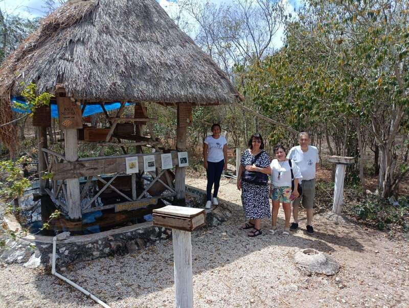 Apiary Tour (Bee tour) also Archeological site and salt Pond - Why this Sinanché bee tour is different