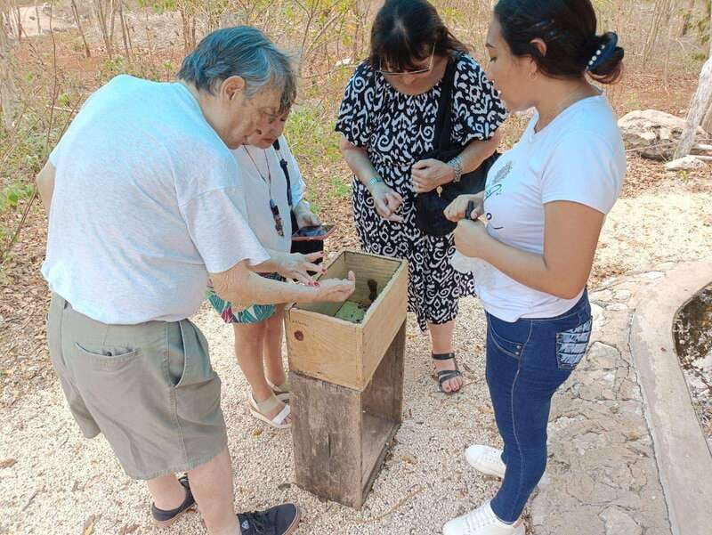 Apiary Tour (Bee tour) also Archeological site and salt Pond - Optional Motul breakfast before the hives