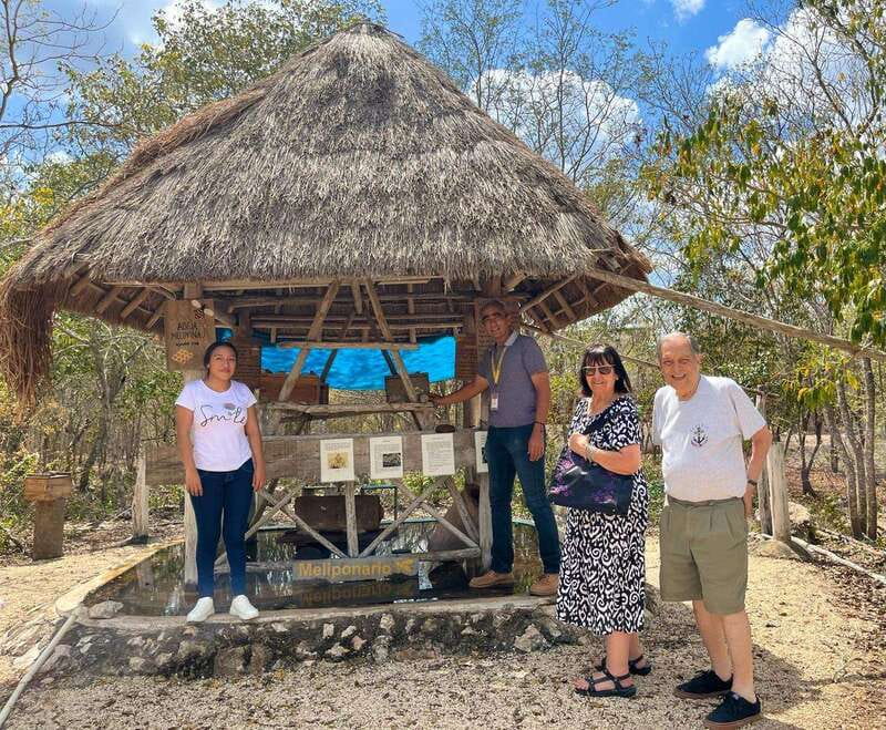 Apiary Tour (Bee tour) also Archeological site and salt Pond - Two kinds of bees in Sinanché