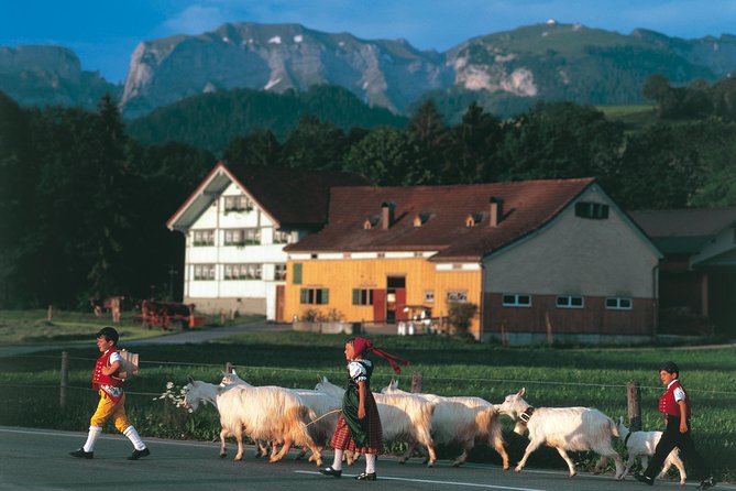 Appenzell Alps Day Trip from Zurich – Farm Life & Cheese Tasting - From Zurich to the Appenzellerland