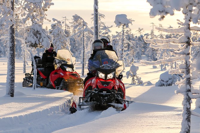 Arctic Delight - Visit to Santa's Village and snowmobiling to reindeer farm - Is Arctic Delight worth $295.82?