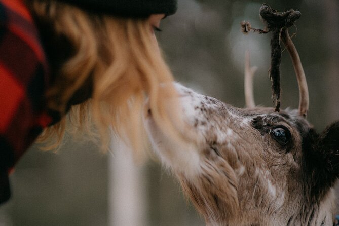 Arctic Reindeer Farm Experience with Snowshoeing in the Wild - Cancellation and booking details