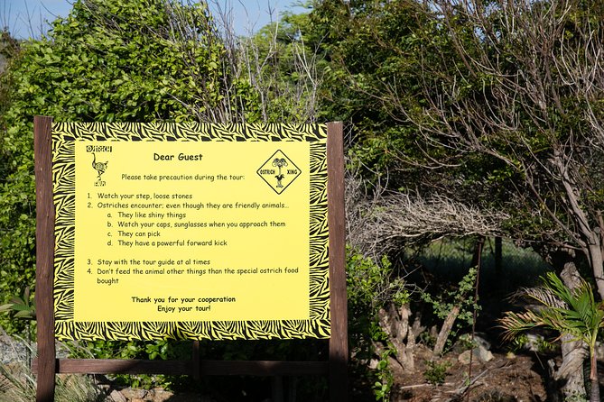Aruba Ostrich Farm Tour with Lunch - Why the included lunch changes the value