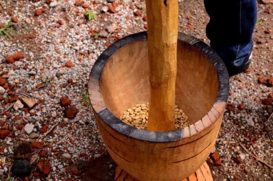 Arusha: Coffee Plantation Tour with Tasting and Hands-On … - Key points to know before booking