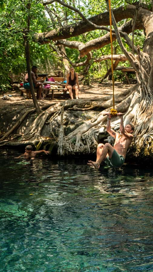 Arusha or Moshi : Hot Spring, Waterfall & Coffee Farm Tour - Who should book this day